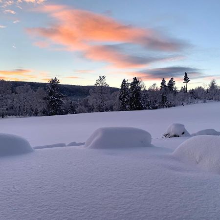Eika Cottage: Cozy, Rural, Spacious And Well-Equiped Amot  Eksteriør bilde